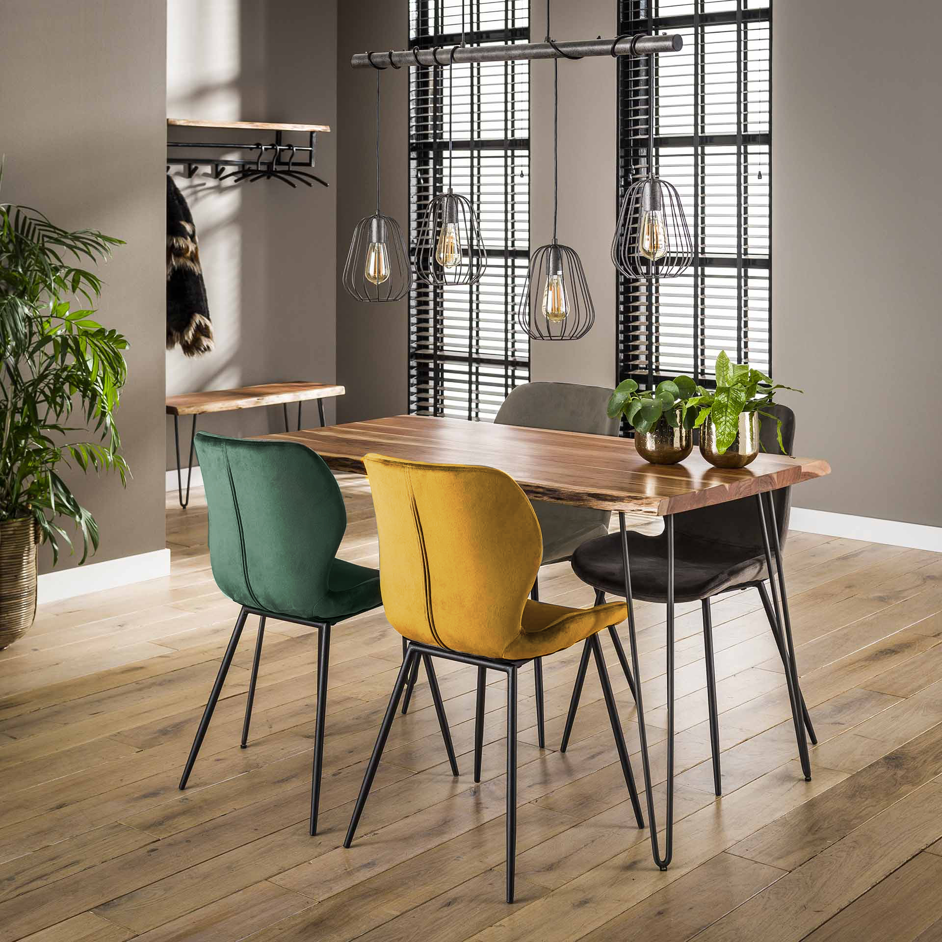 Essgruppe Palu Massiv Baumkante 130 + 4 Stühle Velvet Samt